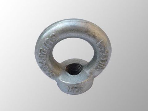 點(diǎn)擊查看詳細(xì)信息<br>標(biāo)題：吊環(huán)螺母 閱讀次數(shù)：2116